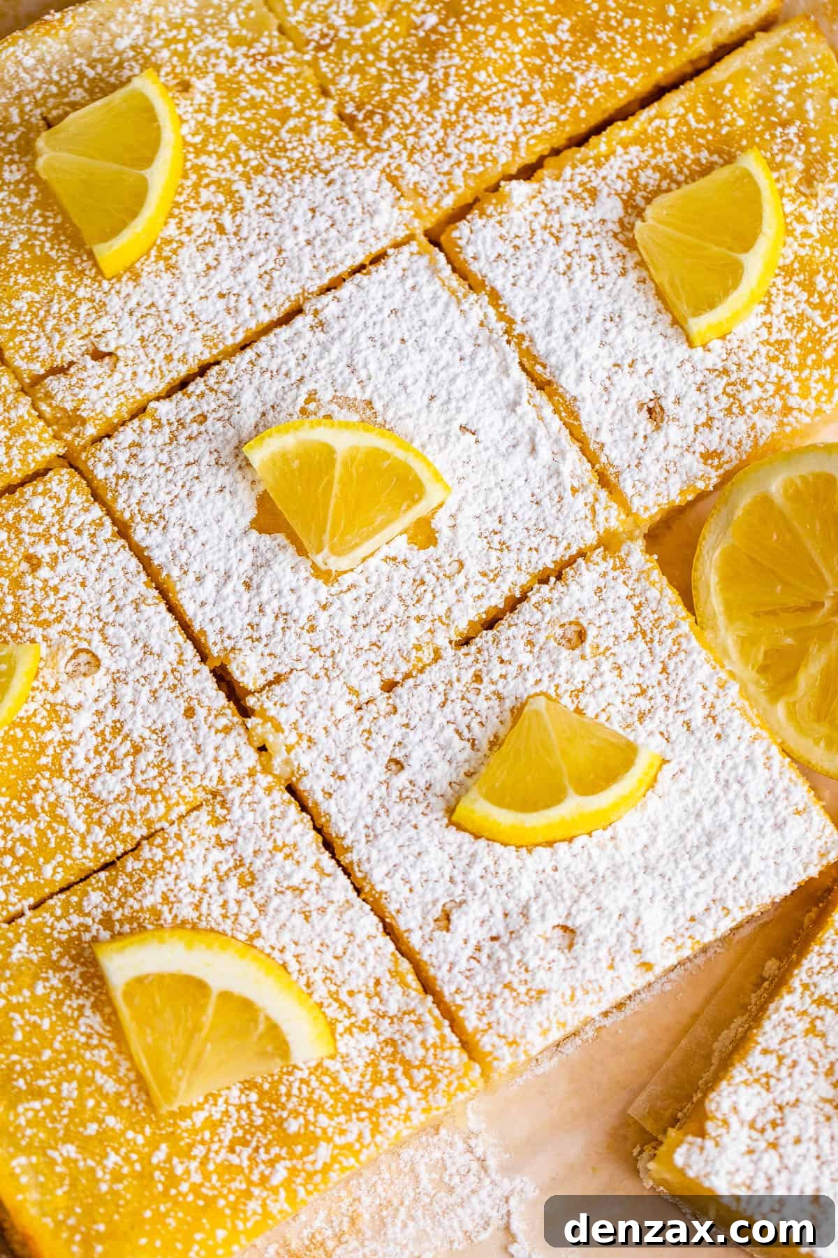 close up of cut lemon squares dusted with powdered sugar and topped with lemon slices
