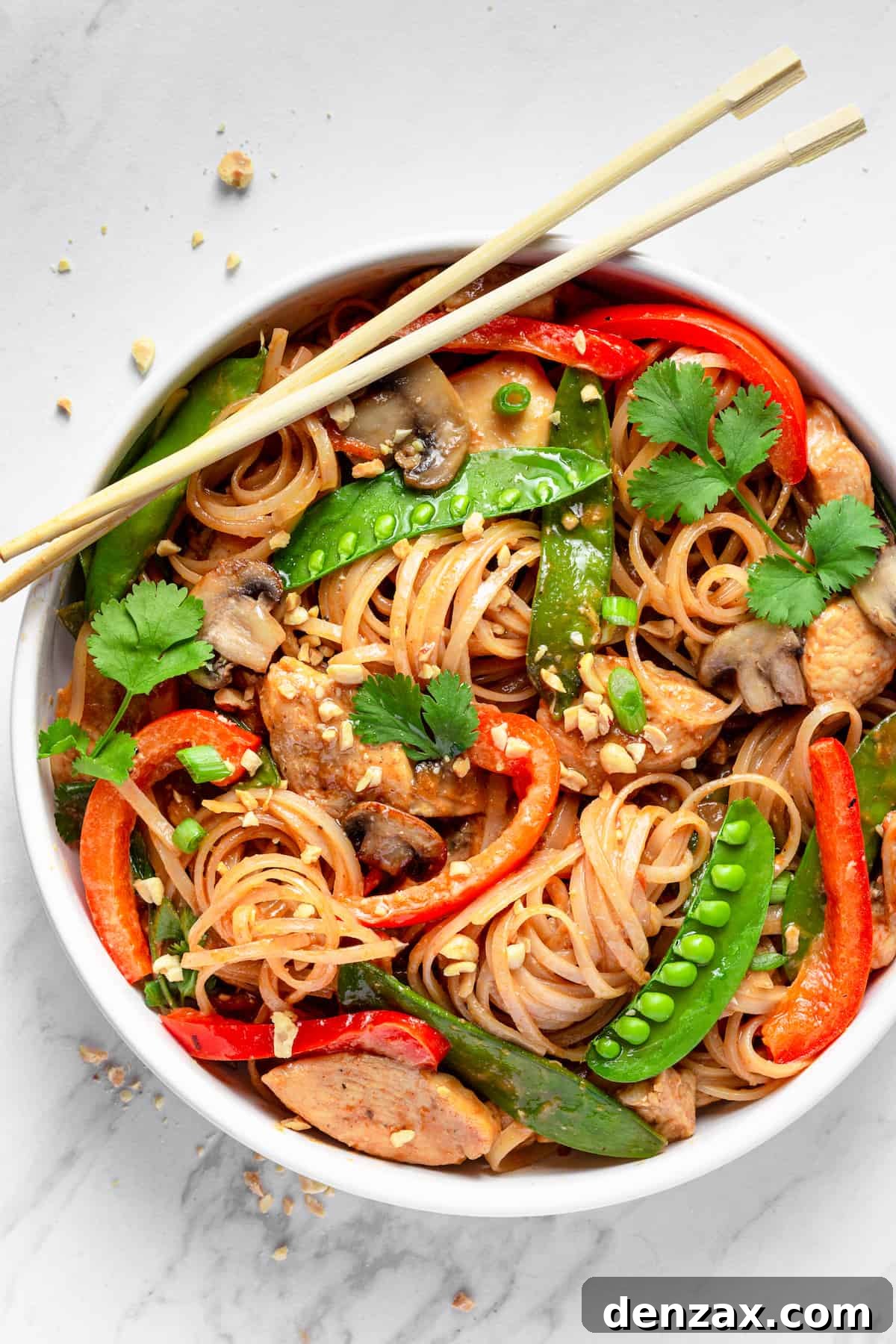 A Bowl of Chicken Lo Mein with a Pair of Chopsticks Resting on the Rim