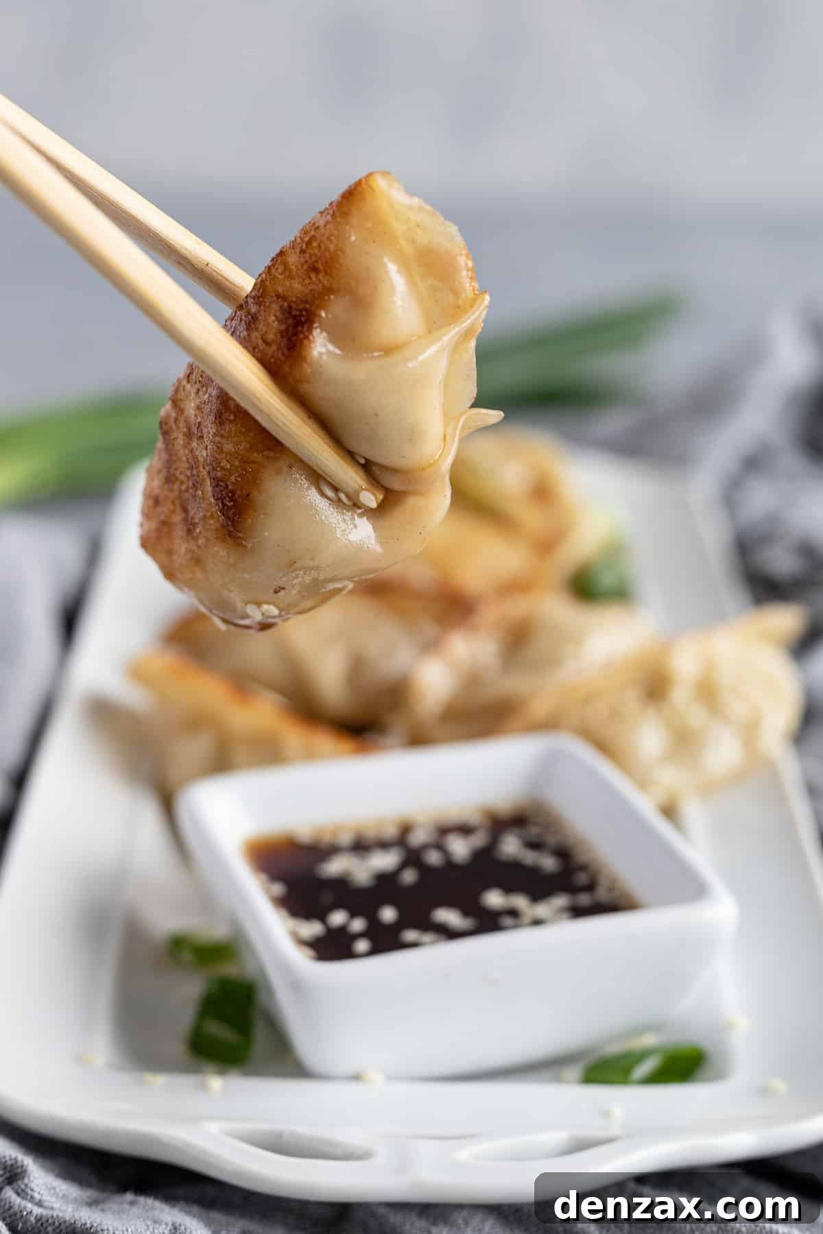 Chopsticks Holding a Warm Dumpling