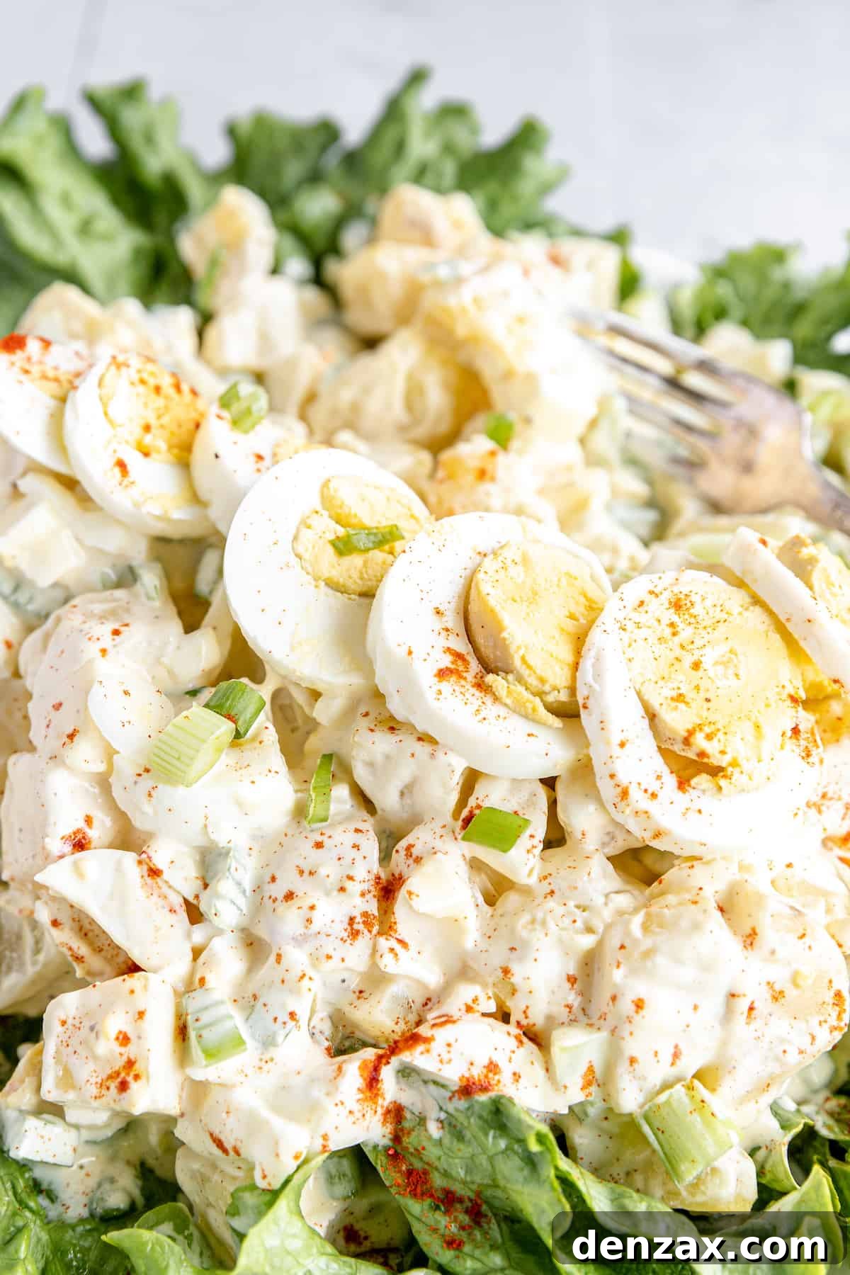 Garnishes and a Line of Hard-Boiled Egg Slices on Top of a Creamy Potato Salad