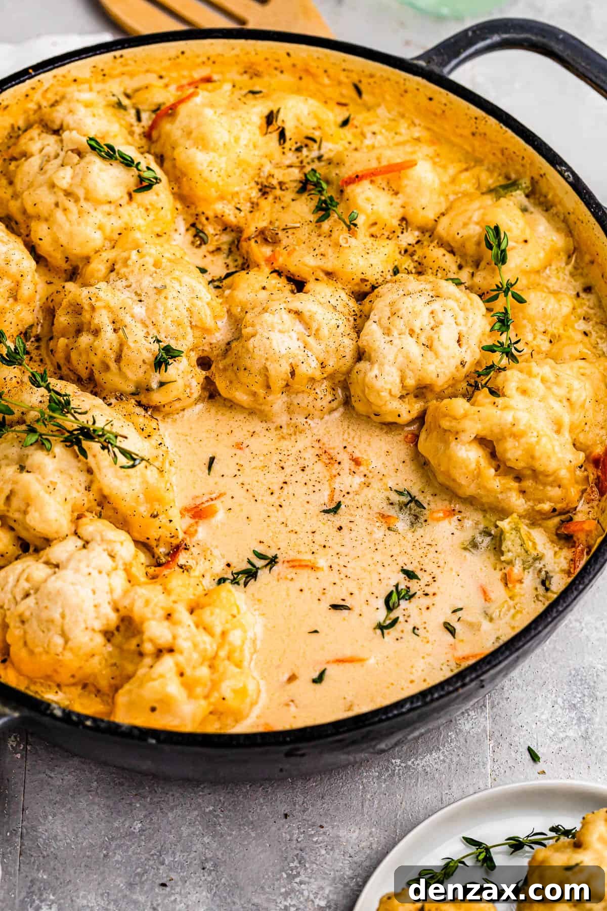dutch oven with chicken and dumplings