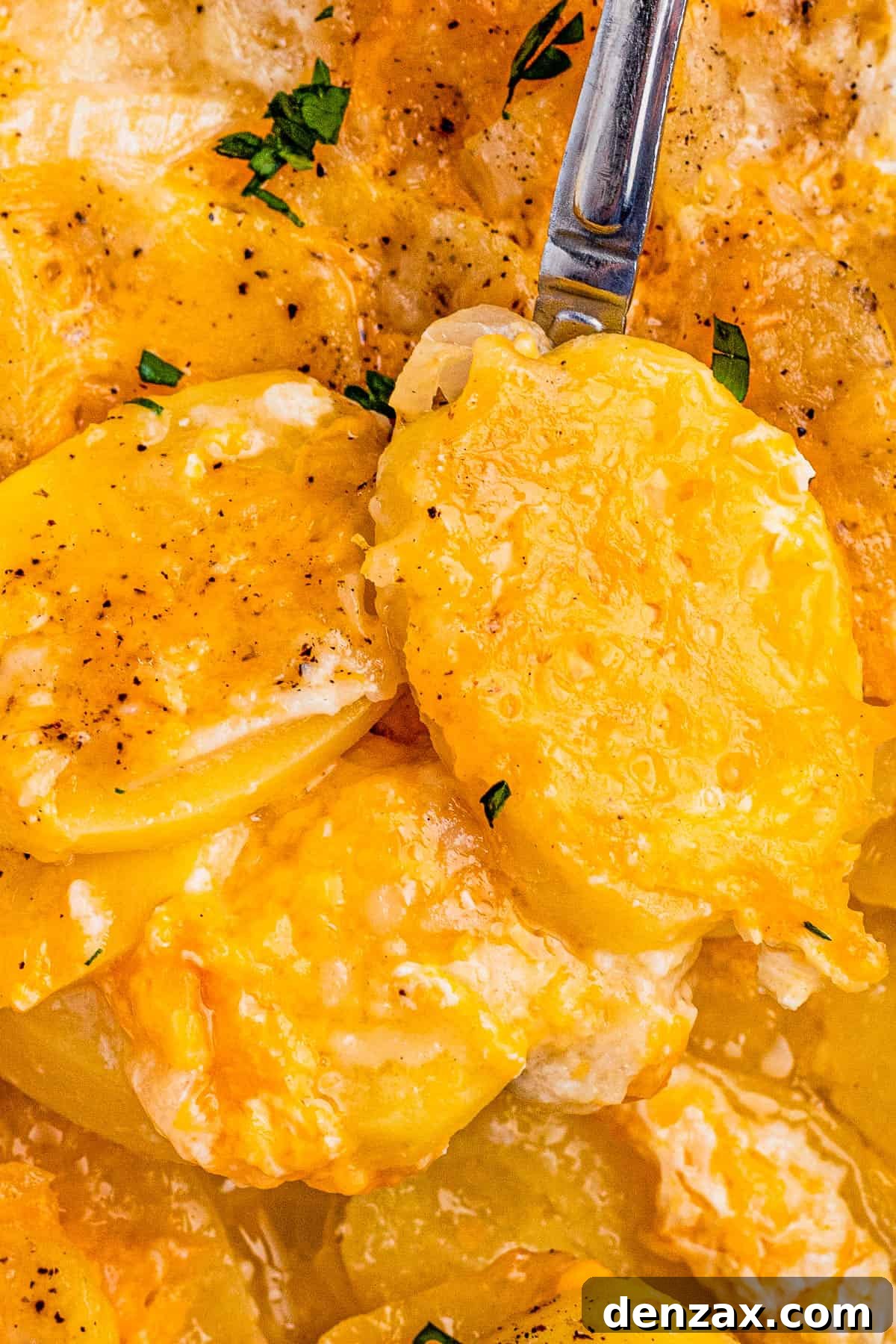 Tender sliced potatoes layered with cheddar cheese and diced onions to make a scalloped potatoes casserole. Close-up of a spoon holding scalloped potatoes.