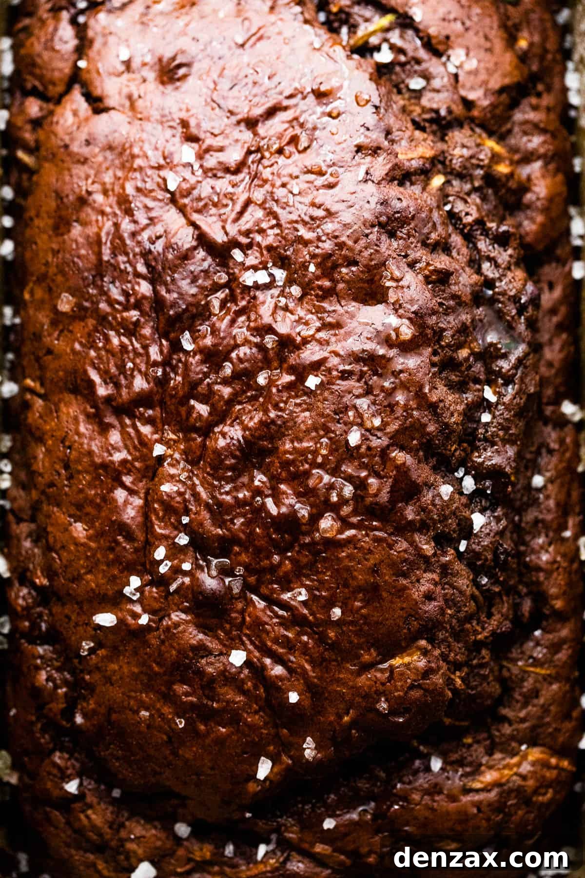up close shot of chocolate zucchini bread in a loaf pan