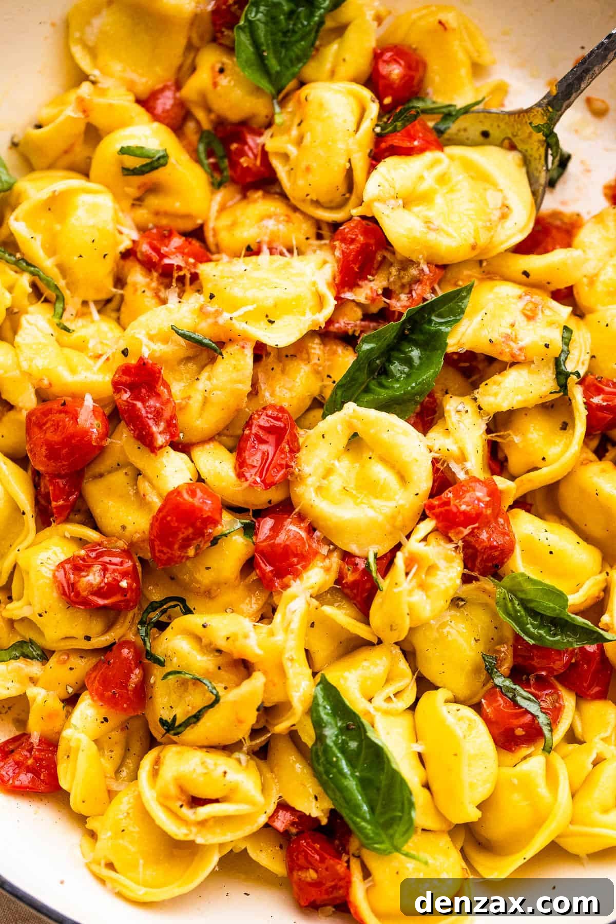 tortellini pasta tossed with cherry tomatoes and garnished with basil leaves