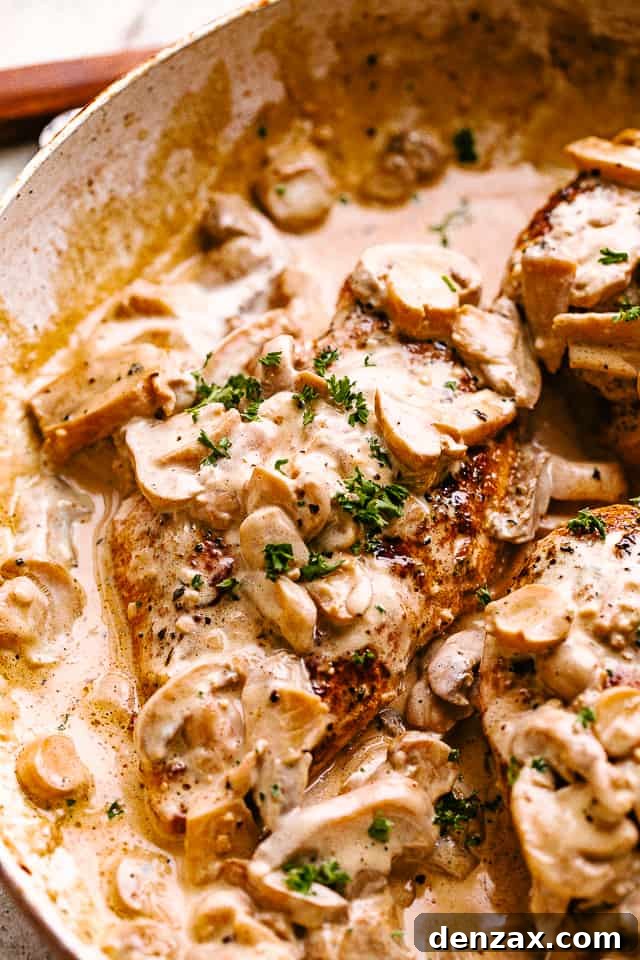 Creamy mushroom chicken in a skillet garnished with fresh herbs