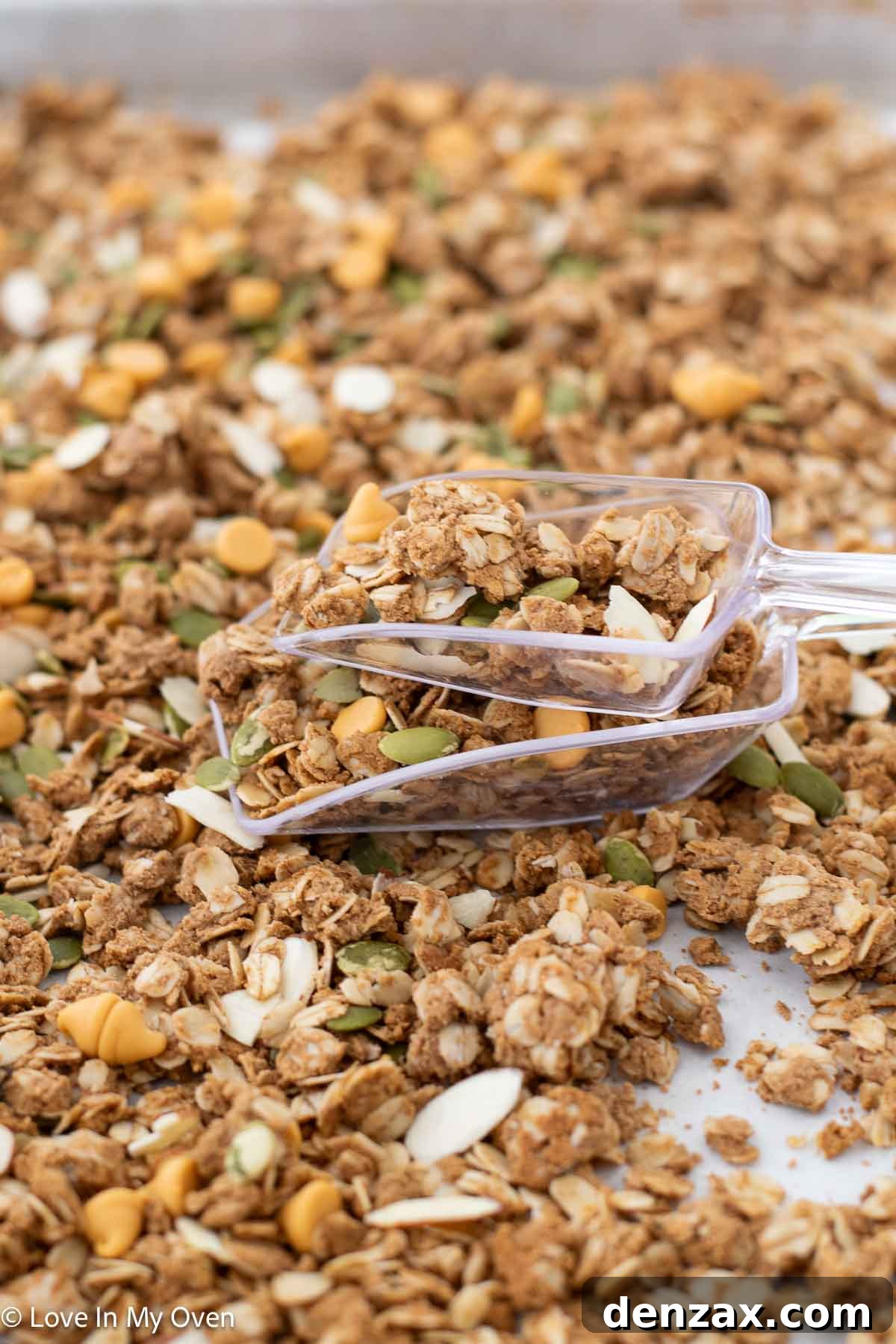 high protein granola