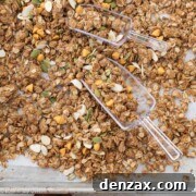 high protein granola