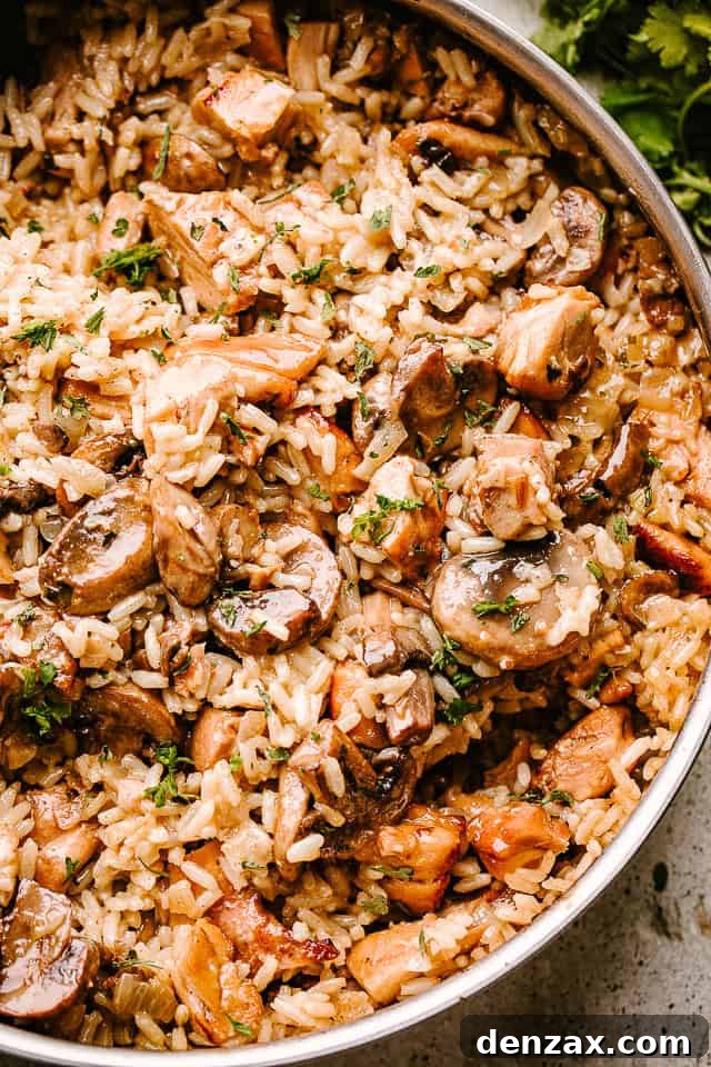 A close-up of rice tossed with chicken pieces and mushrooms.