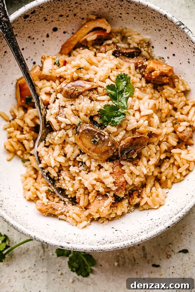 Completed chicken and mushrooms with rice, served in a white bowl and garnished with parsley